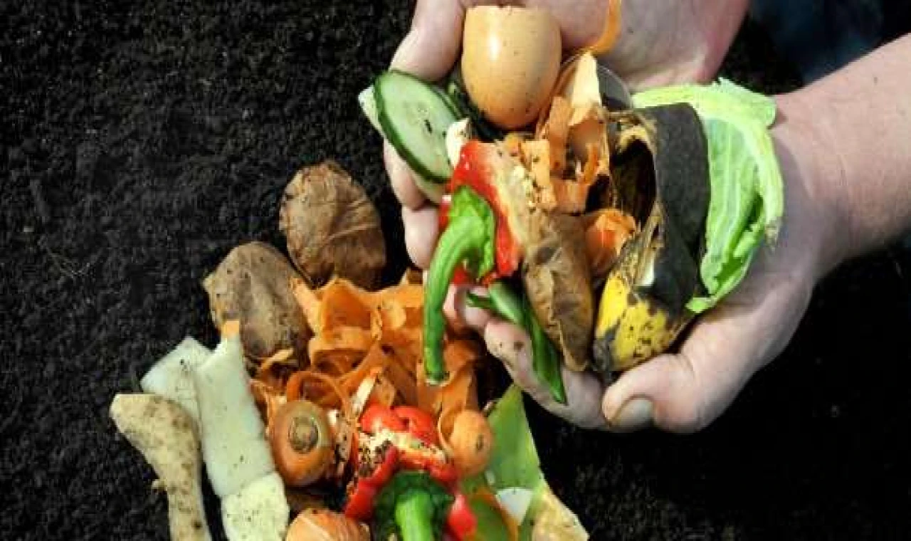 Ataşehir’de Doğa Dostu Yaşam Eğitimi Başladı