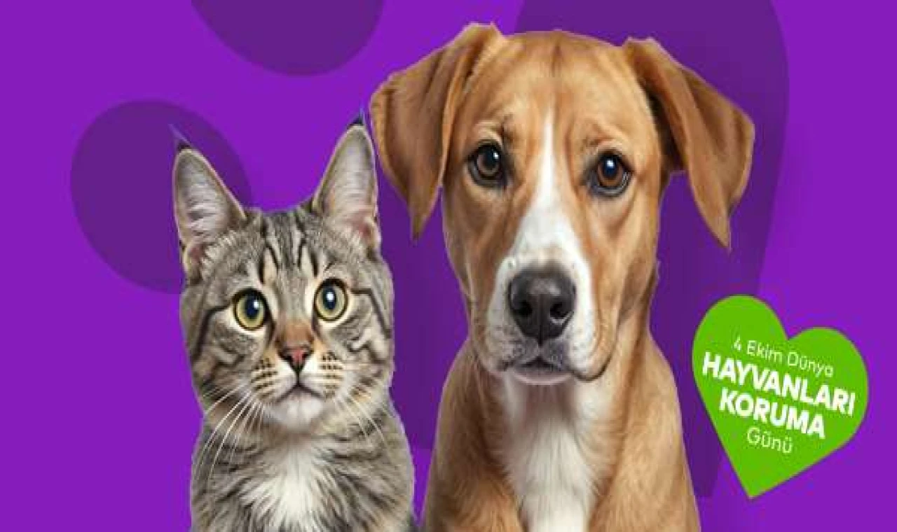 “Satın Alma, Sahiplen” Ataşehir’de Hayata Geçiyor