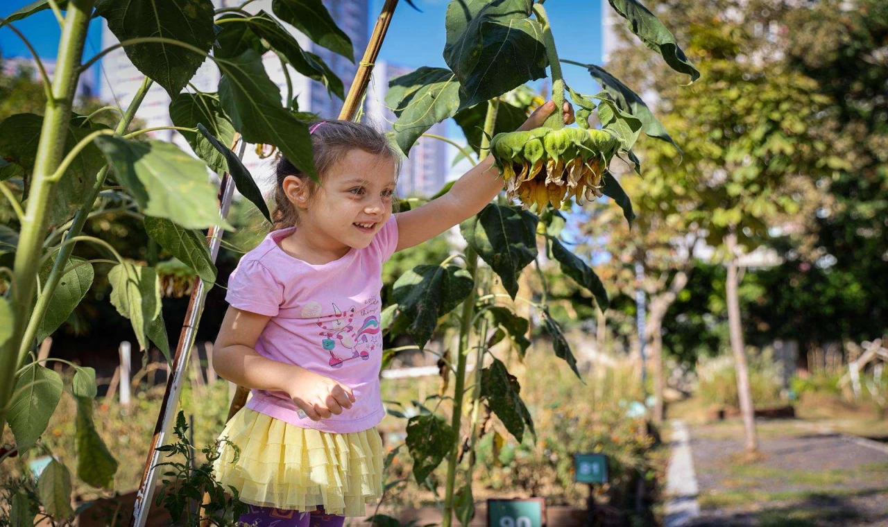 Yeni Dönem Kent Bostanı Başvuruları Başlıyor