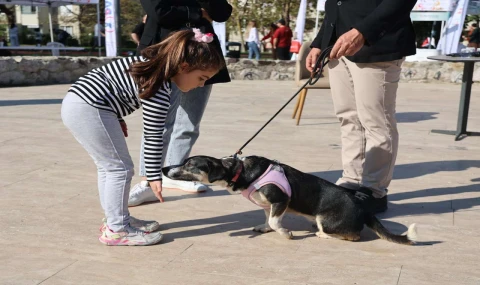 Ataşehir’de “Satın Alma, Sahiplen” Etkinliği İlgi Gördü