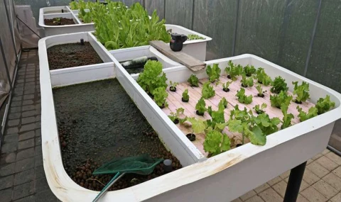 Ataşehir’de Yaz Tatili Çocukları İçin Çevre Atölyeleri