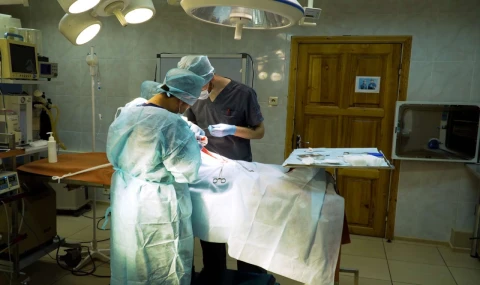 Sokak Hayvanlarına Yeni Tedavi İmkânları Ataşehir’de