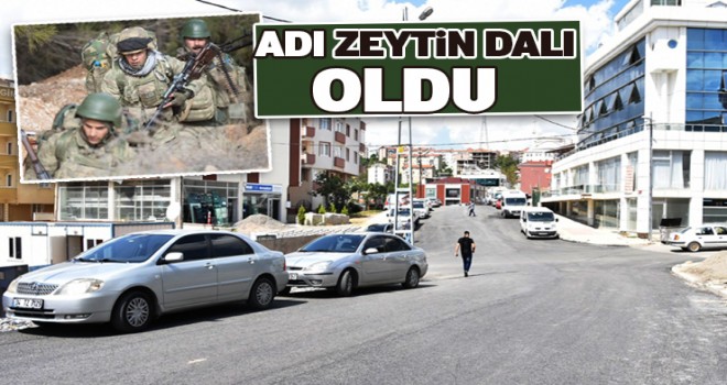 Yeni Caddenin Adı “zeytin Dalı” Oldu