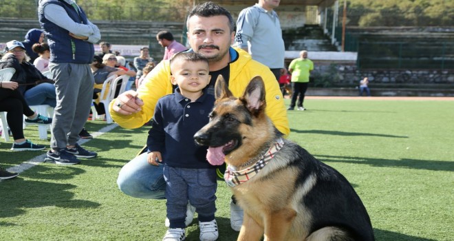 ALMAN ÇOBAN KÖPEKLERİ SOKAK HAYVANLARI İÇİN YARIŞTI