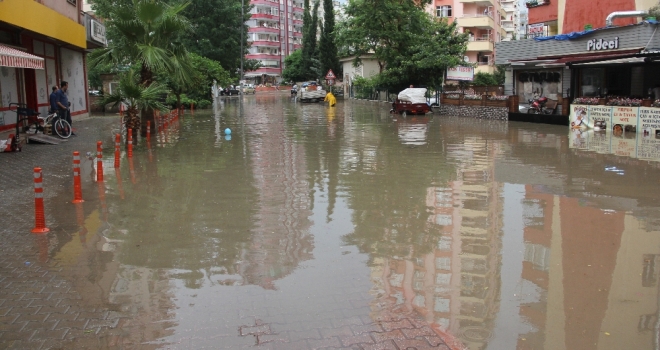 Yollar Göle Döndü, Ağaca Yıldırım Düştü