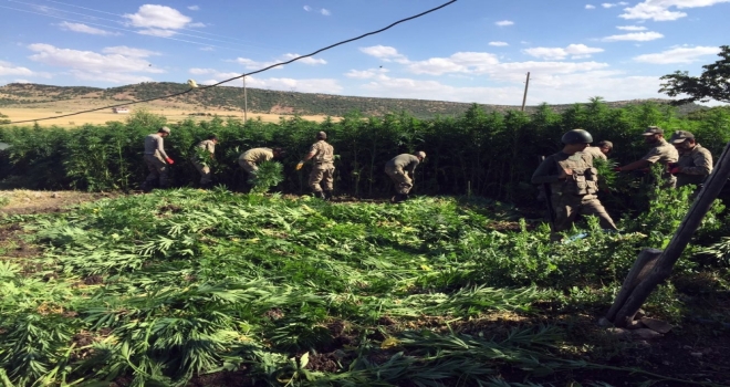 Diyarbakırda Teröre Darbe Üstüne Darbe