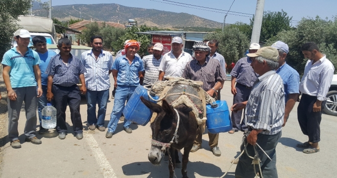 İzmirde Mahalleli Eşek Sırtında Su Taşıyor