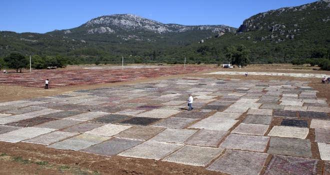 Antalyada Milyonluk Halı Ve Kilim Tarlası