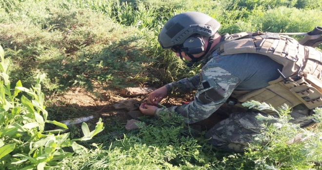 Tuncelide Ele Geçirildi: Tam 100 Kilo!