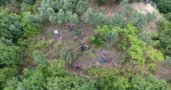 Jandarmadan Dronelu Uyuşturucu Baskını