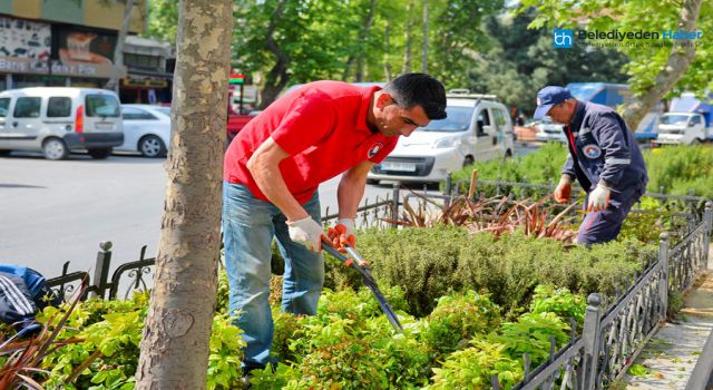 MALTEPE ÇİÇEKLERLE DONATILDI