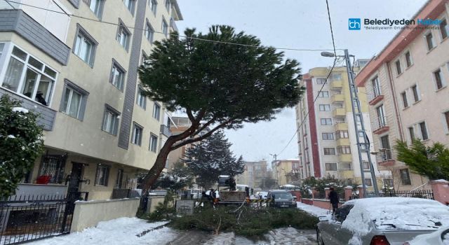 Kartal Belediyesi, kar yağışı ve olumsuz hava koşullarına rağmen ilçede çalışmalarını sürdürüyor.