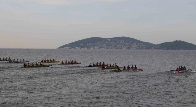 Kartal Belediyesi, Deniz Küreği Yarışları’na ev sahipliği yaptı