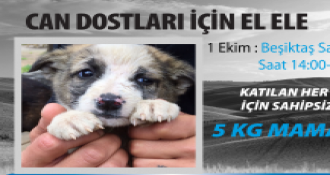 Can Dostlarımız İçin El Ele!