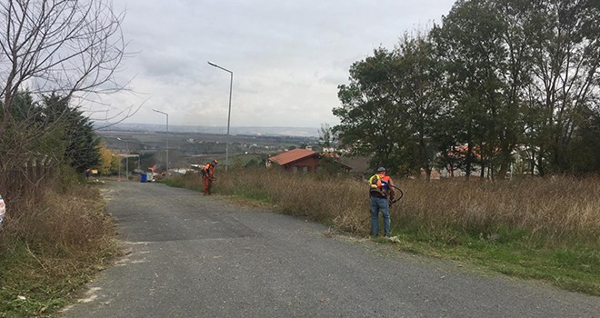 Çatalca'da Çevre Temizlik Çalışmaları Tüm Hızıyla Devam Ediyor