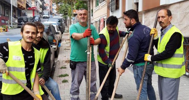 Her Yıl Binlerce Yeni Ağac