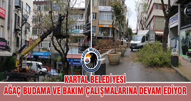 KARTAL BELEDİYESİ AĞAÇ BUDAMA VE BAKIM ÇALIŞMALARINA DEVAM EDİYOR