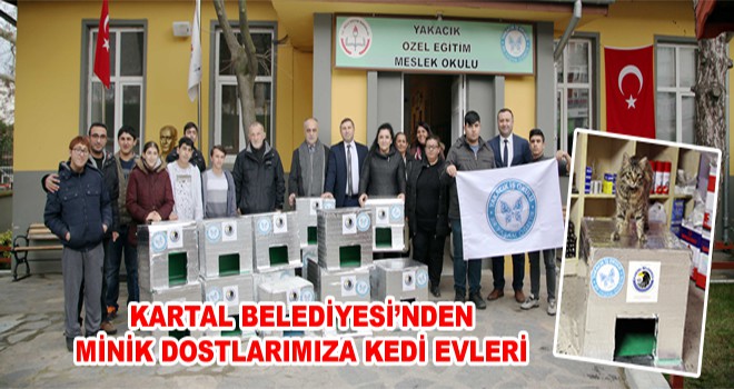 Kartal Belediyesi’nden Minik Dostlarımıza Kedi Evleri