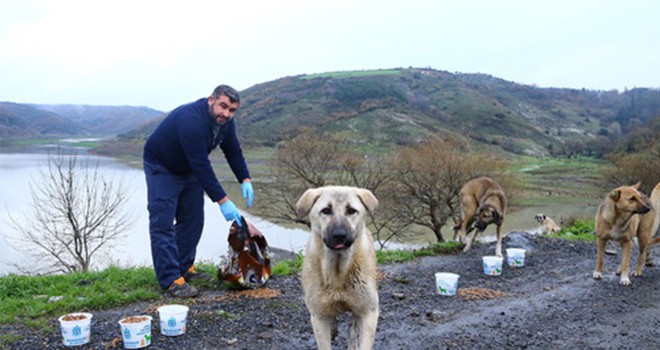 Sevimli dostlara 1 kap mama ve kucak dolusu sevgi