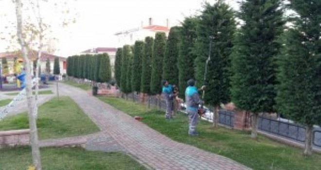 Ümraniye Belediyesi Ağaç Budama Çalışmalarına Devam Ediyor