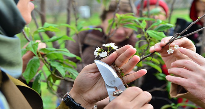 Meslek Kursları Dolu Dizgin