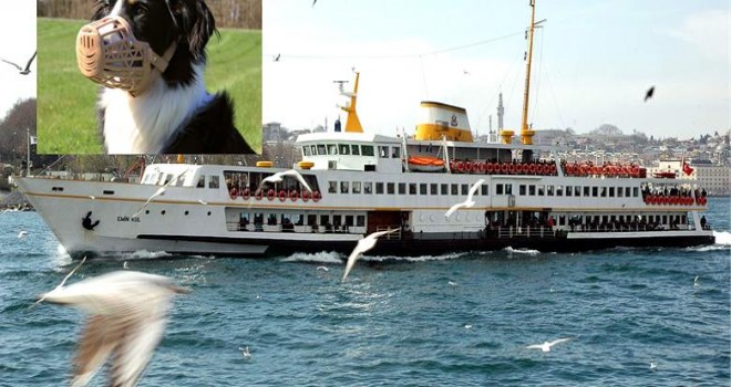 VAPURLARDA KÖPEKLER AĞIZLIKLA SEYAHAT EDEBİLECEK