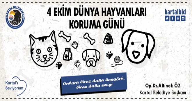 4 Ekim Dünya Hayvanları Koruma Günü