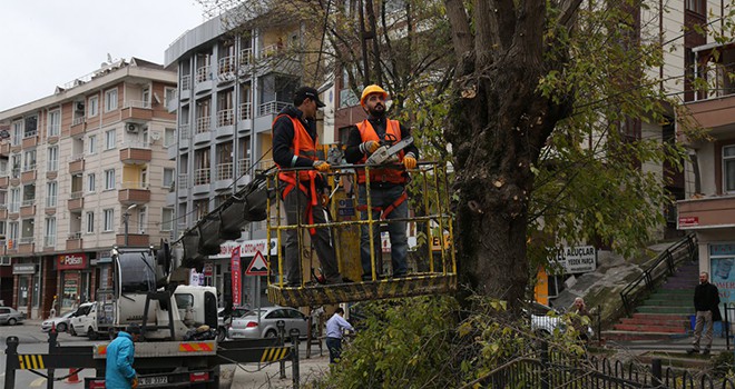 Eyüpsultan'da budama çalışmaları devam ediyor