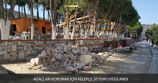 AĞAÇLARI KORUMAK İÇİN KELEPÇE SİSTEMİ UYGULANDI