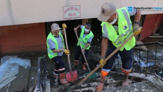 Sahiplerini Kaybeden Kedilere İlkyardım Kartal Belediyesi Ekiplerinden