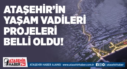 Ataşehir’e yapılması planlanan yaşam vadisi projesi belli oldu!